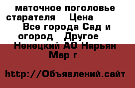 маточное поголовье старателя  › Цена ­ 3 700 - Все города Сад и огород » Другое   . Ненецкий АО,Нарьян-Мар г.